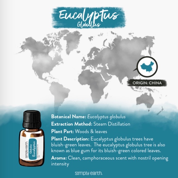 Simply Earth Eucalyptus Essential Oil - Picture 4 of 6